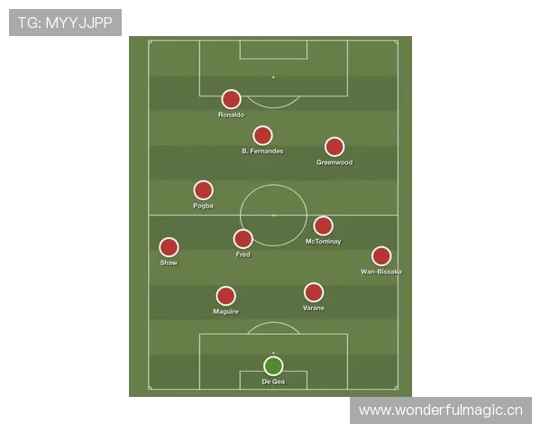 帕利尼亚与坎特：扫荡型中场的战术角色及体系适配分析