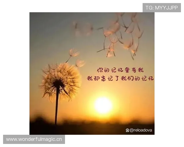 程语轩家的猫都比你我活得精致