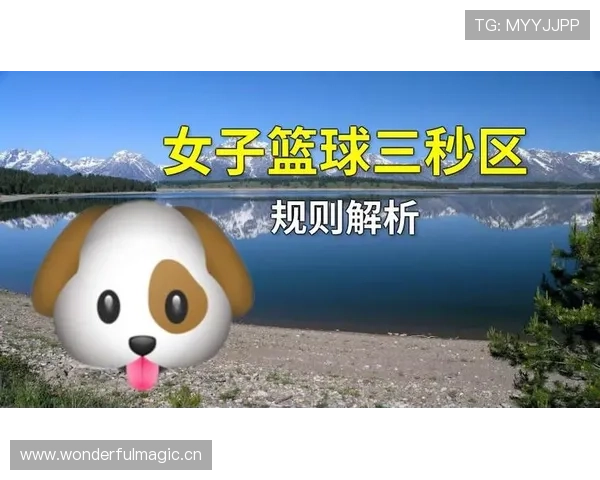 初学者必看：带你快速读懂篮球限制区规则的核心要点